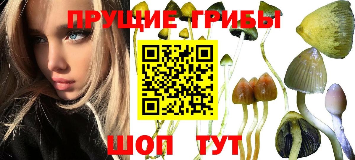 Псилоцибиновые грибы прущие грибы Краснотурьинск