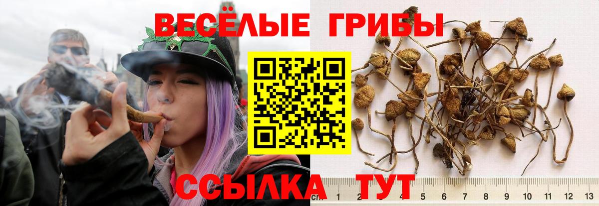 наркота  Вход с VPN  Галлюциногенные грибы Psilocybe  Краснотурьинск  Галлюциногенные грибы Psilocybe 